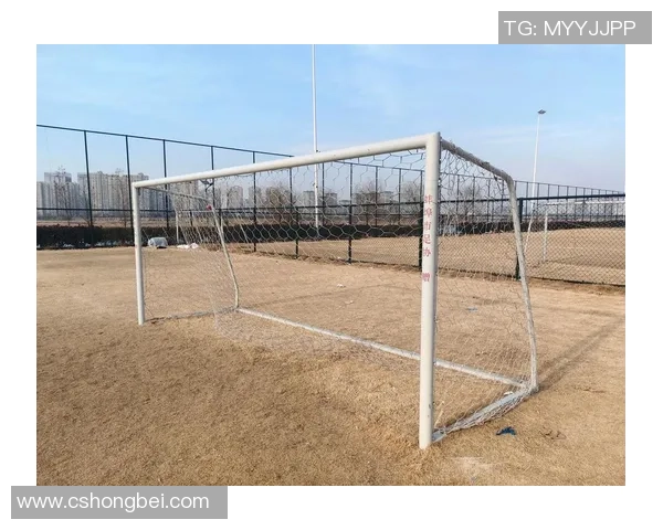 足球球门高度提升对比赛公平性和技术发展的影响分析