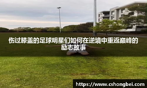 中欧电竞官方网站